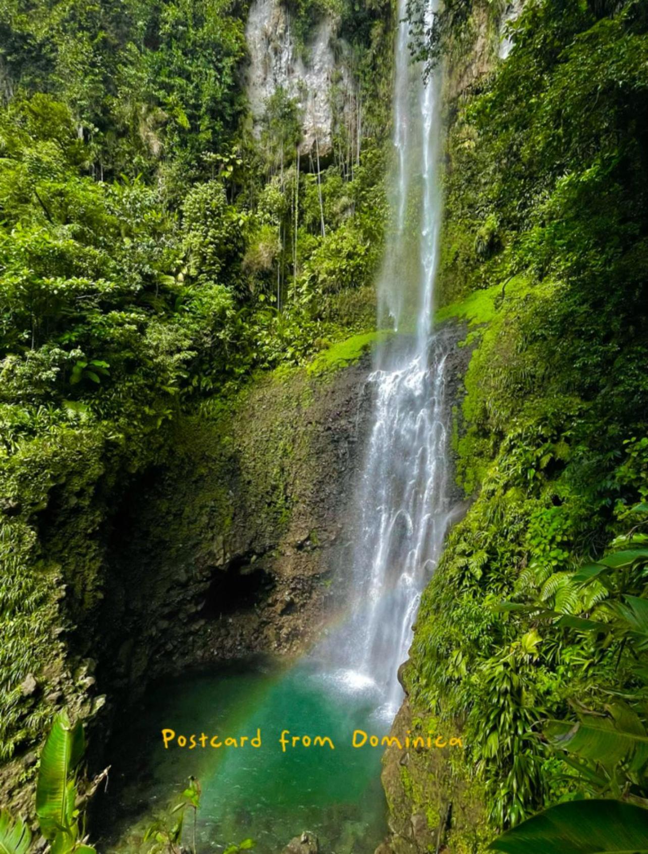 Le Petit Paradis ロゾー エクステリア 写真